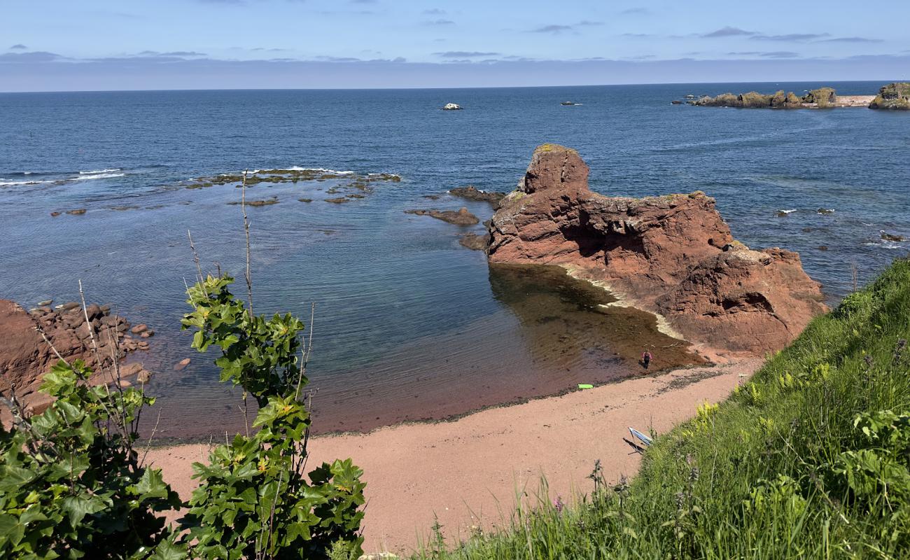 Photo de Dunbar Beach Access Path avec roches de surface