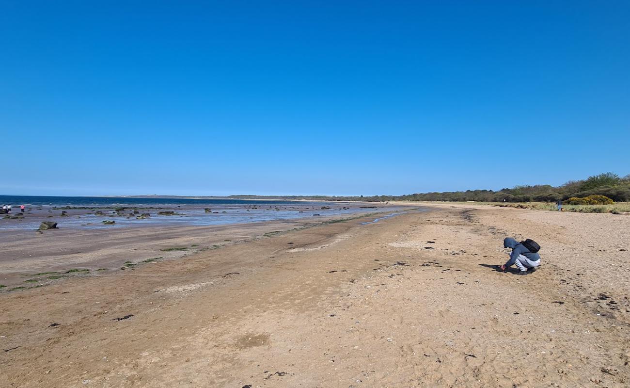 Photo de Seton Sands Beach avec sable beige de surface