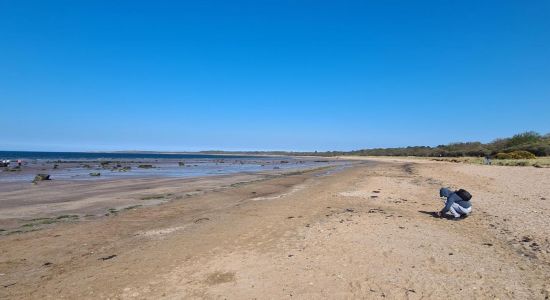 Seton Sands Beach