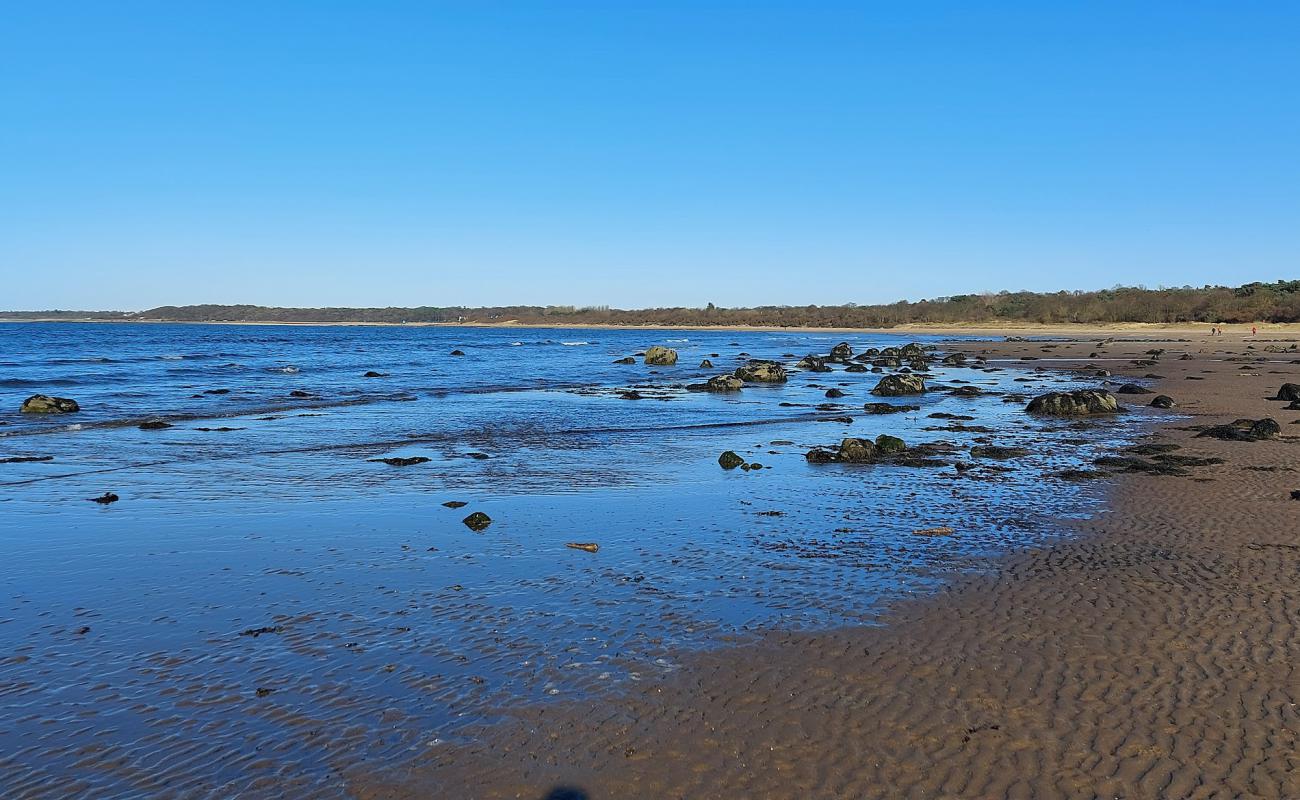 Photo de Seton Sands Beach avec sable lumineux de surface