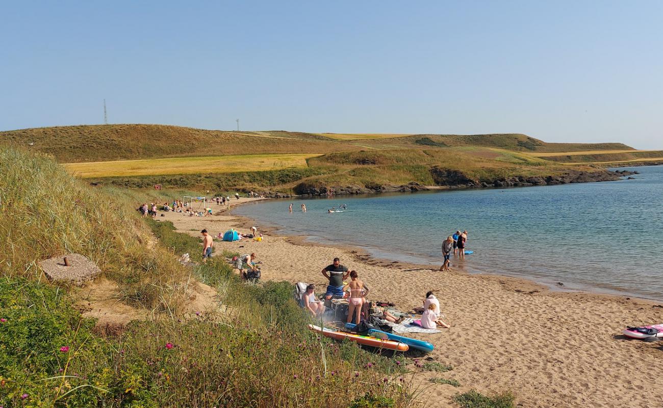 Photo de Elie Holiday Park Beach avec sable beige de surface