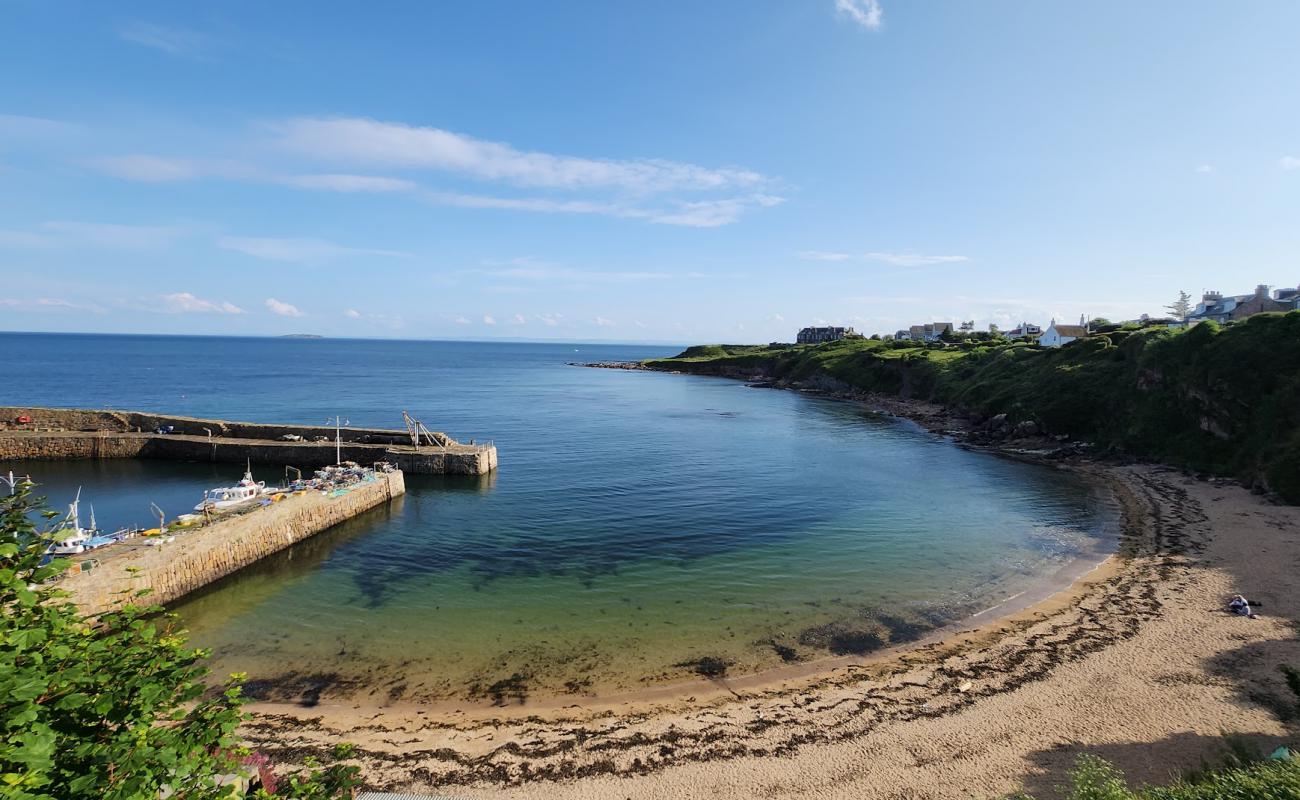 Photo de Crail Beach Fossils Beach avec sable beige de surface