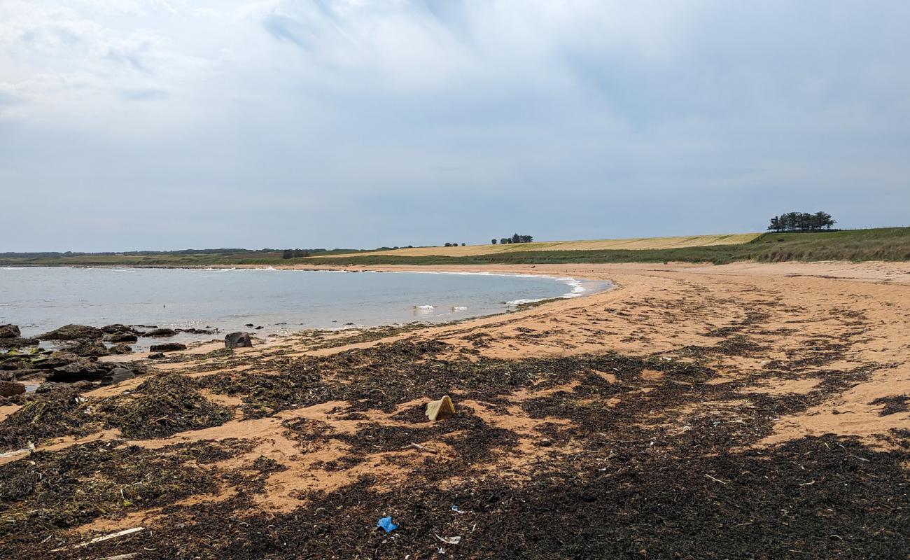 Photo de Red Beach avec sable beige de surface