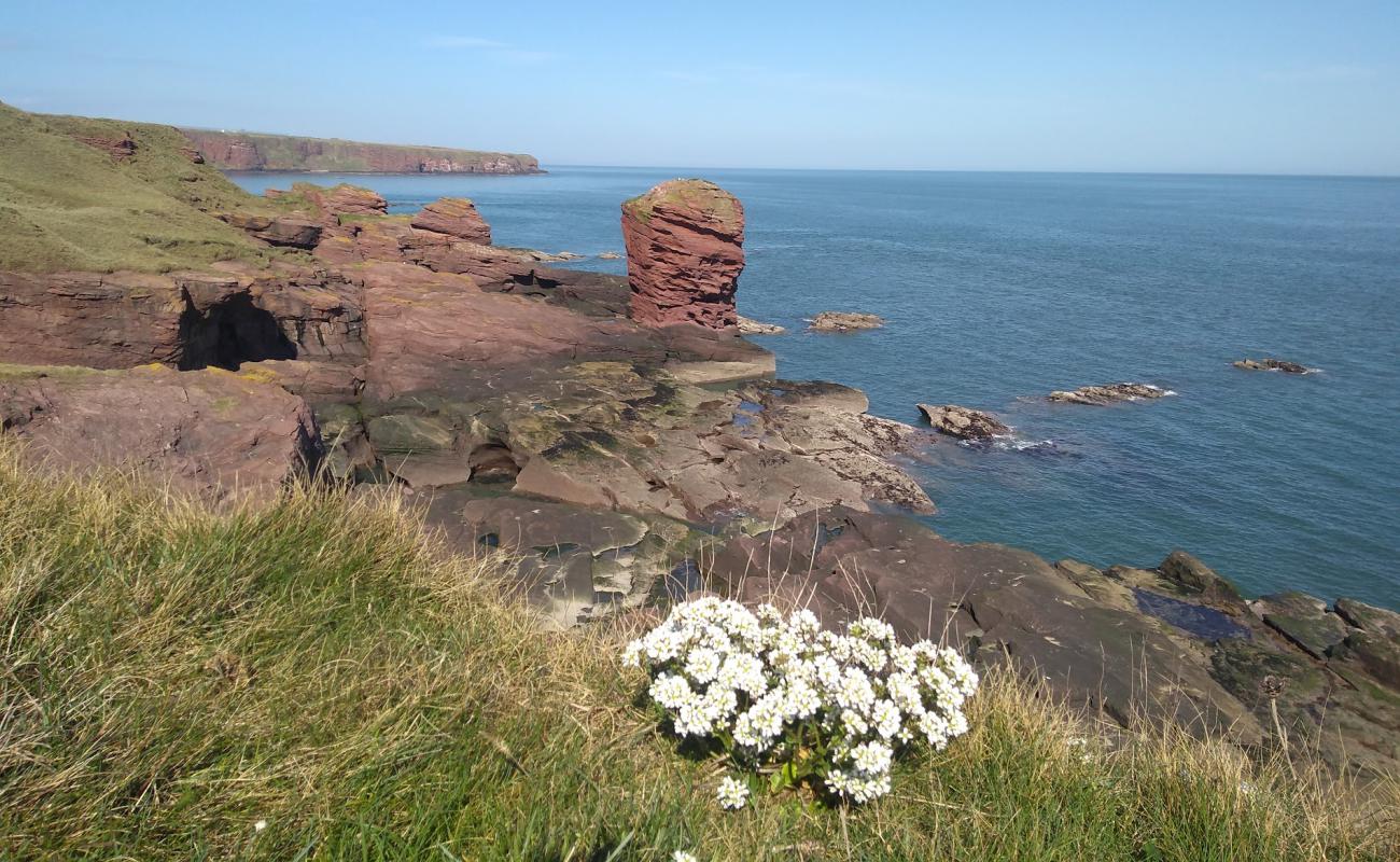 Photo de Seaton Cliffs Beach avec roches de surface