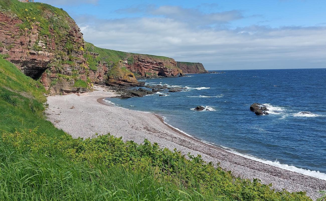 Photo de Auchmithie Beach avec galets gris de surface