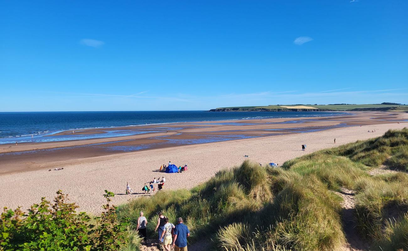 Photo de Lunan Bay Beach avec sable lumineux de surface