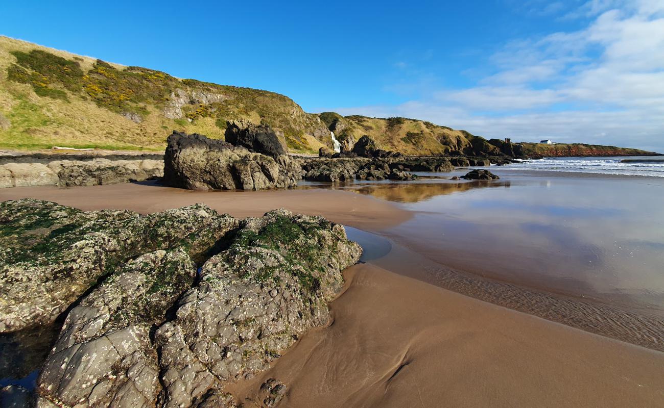 Photo de St Cyrus Beach avec sable beige de surface