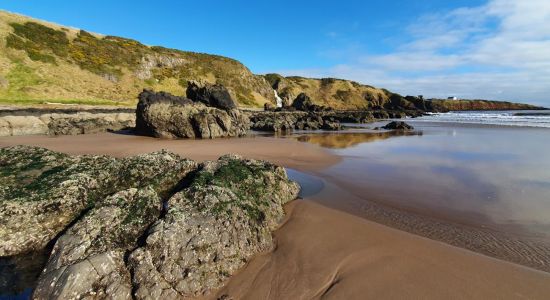 St Cyrus Beach