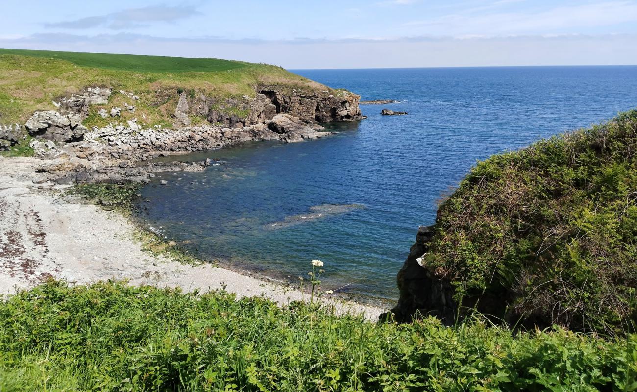 Photo de Newtonhill Beach avec roches de surface