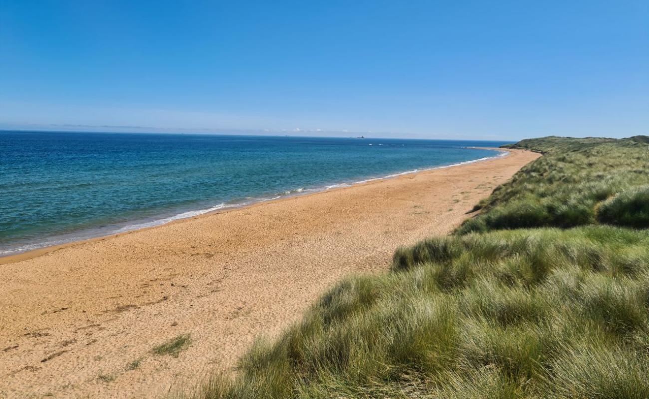 Photo de Scotstown Beach avec sable lumineux de surface