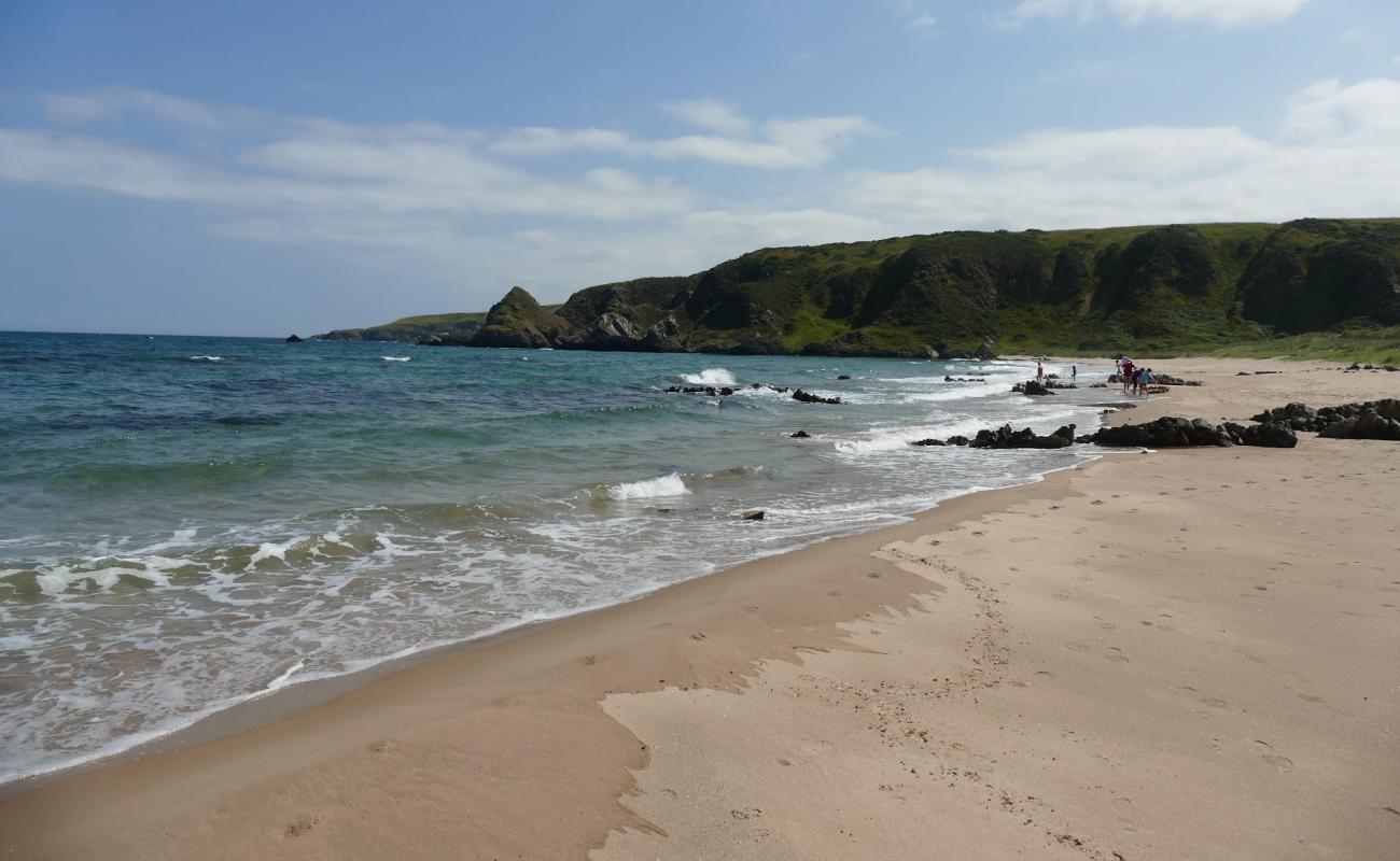Photo de Sunnyside Beach avec sable beige fin de surface