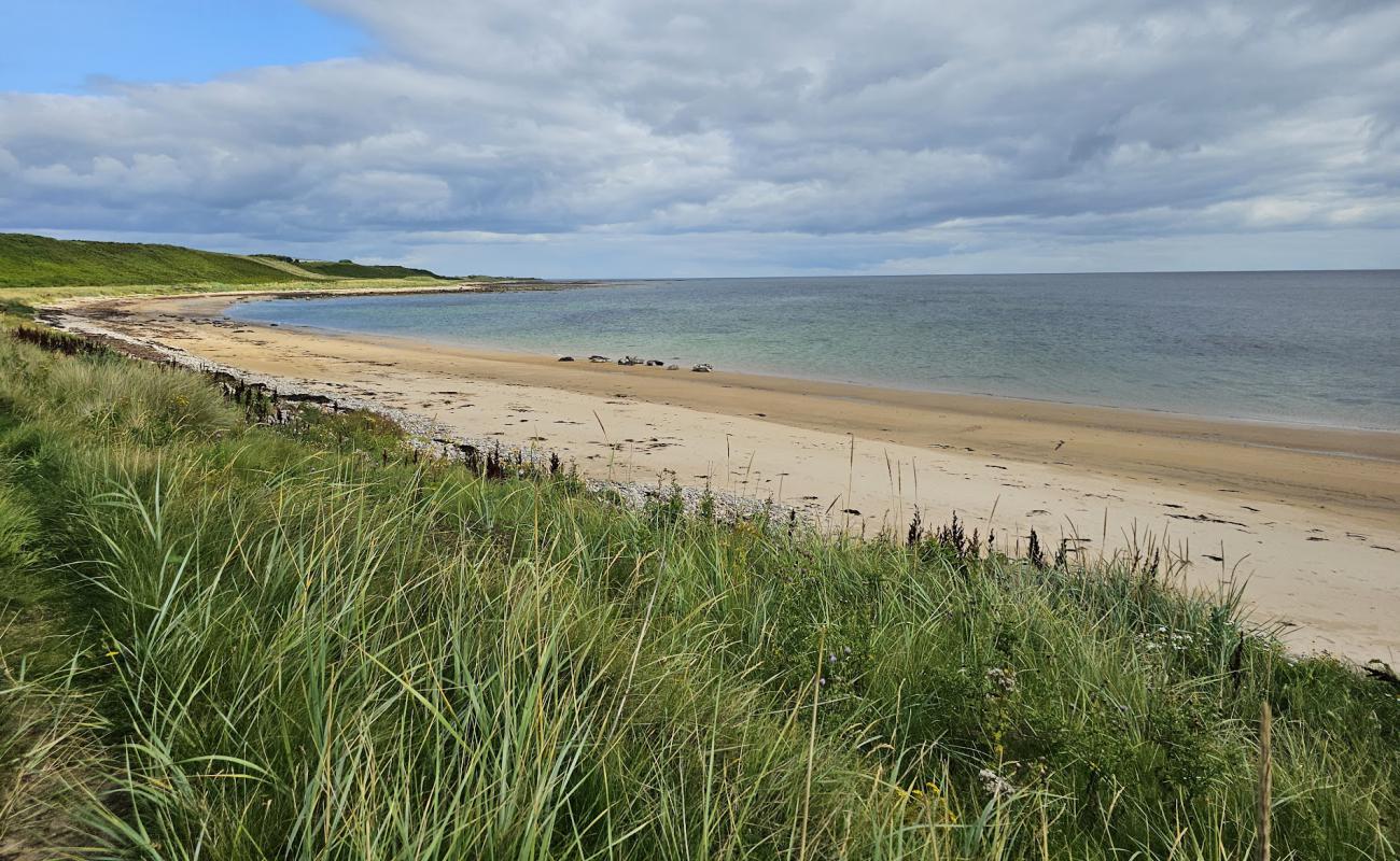 Photo de Golspie Beach avec sable beige de surface