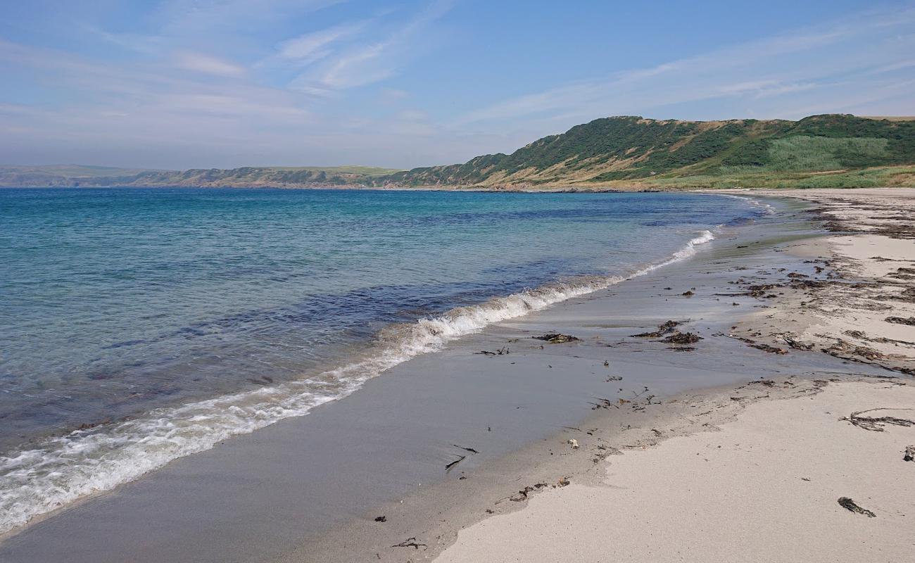 Photo de Ardwell Bay Beach avec sable beige de surface