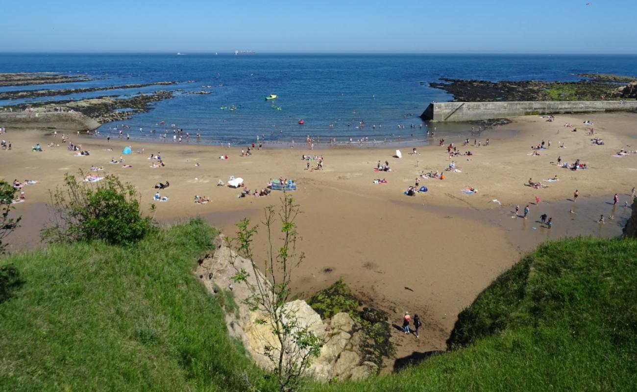 Photo de Plage de Cullercoats avec sable beige de surface