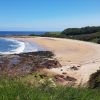 Plage de Seacliff