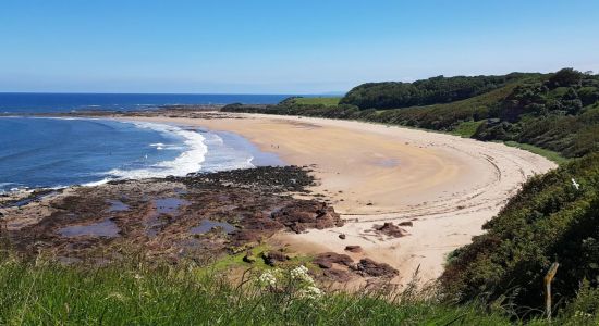 Plage de Seacliff