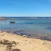 Plage de Kingsbarn