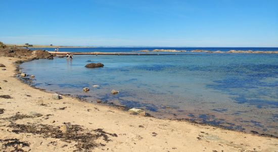 Plage de Kingsbarn