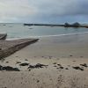 La Rocque Harbour Beach