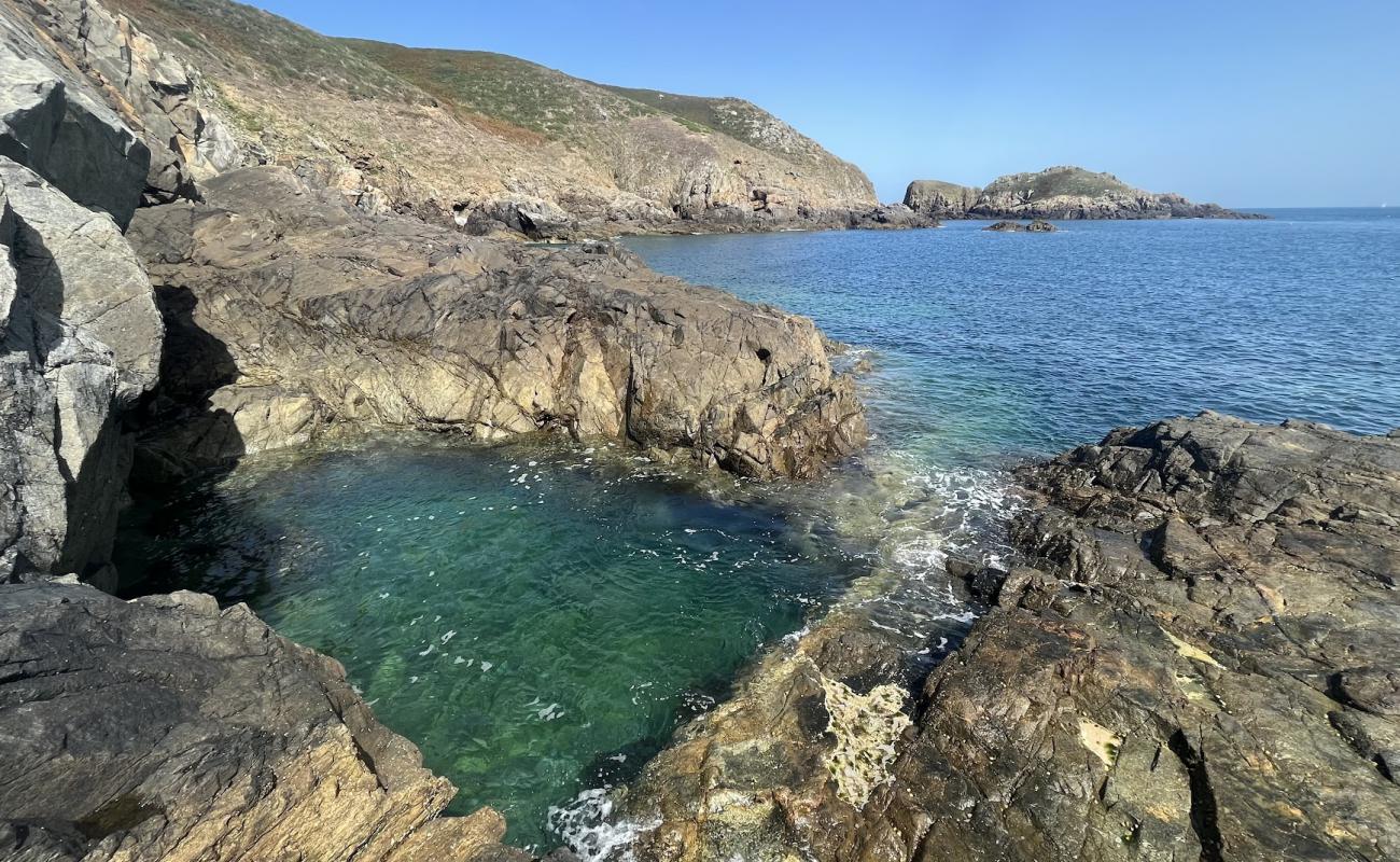 Photo de Venus Pool avec surface béton pavée de surface