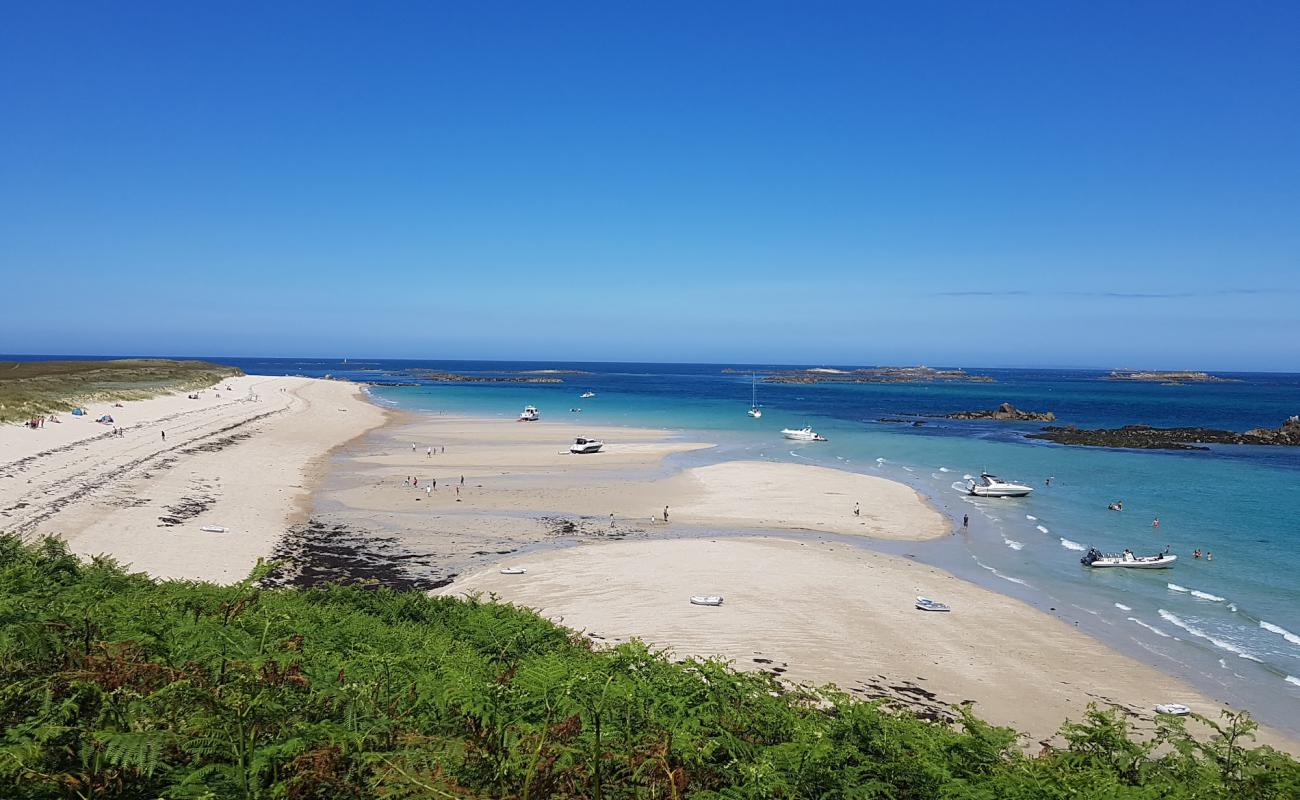 Photo de Shell Beach avec sable beige de surface