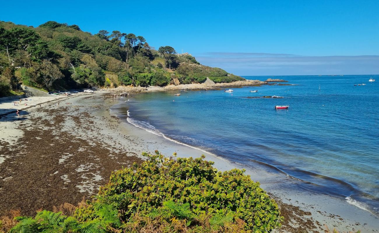 Photo de Portelet Beach Guernsey avec sable lumineux de surface