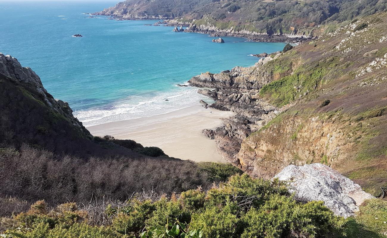 Photo de Petit Port Beach avec sable lumineux de surface