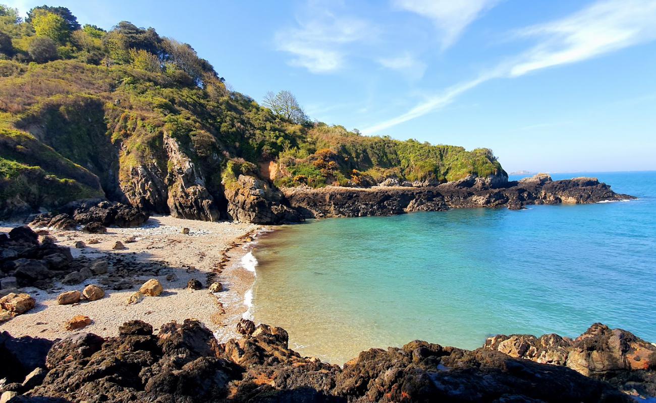 Photo de Le Pied du Mur (Marble Bay) avec caillou clair de surface