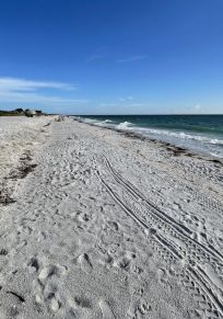 Cayo Côte
