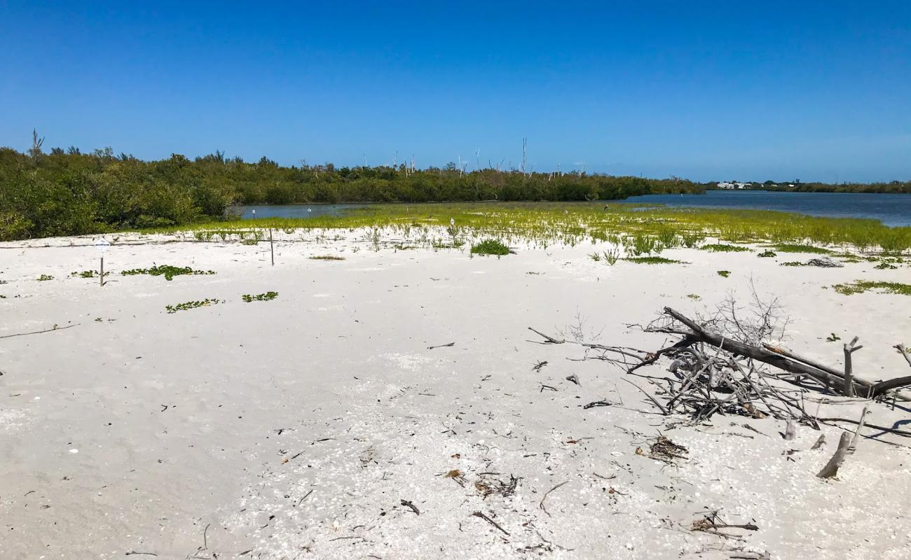 Photo de Silver Key beach avec sable coquillier lumineux de surface