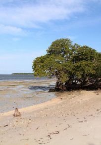 Fakahatchee