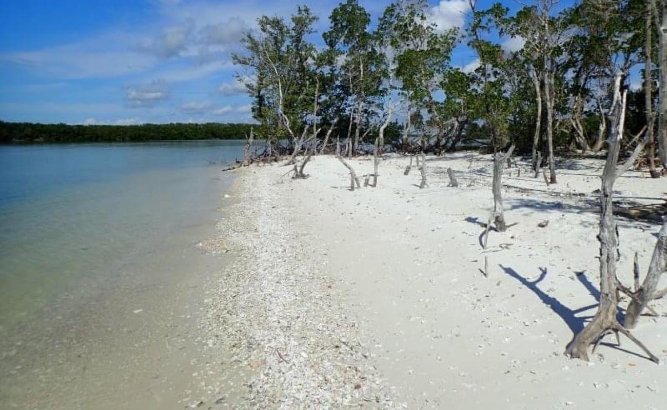 Photo de Turkey Key avec sable lumineux de surface