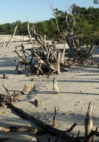 Florida keys