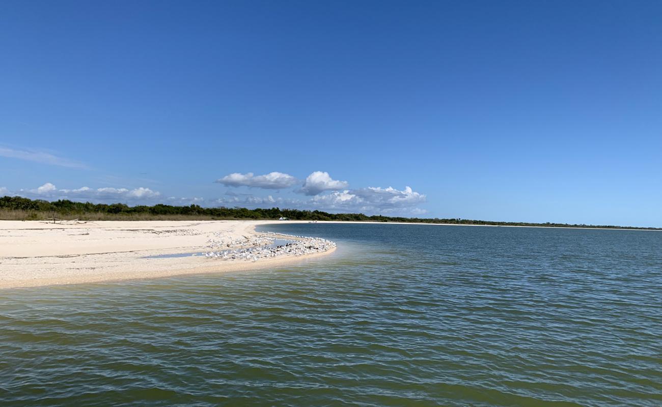 Photo de Middle Cape beach avec sable clair avec caillou de surface