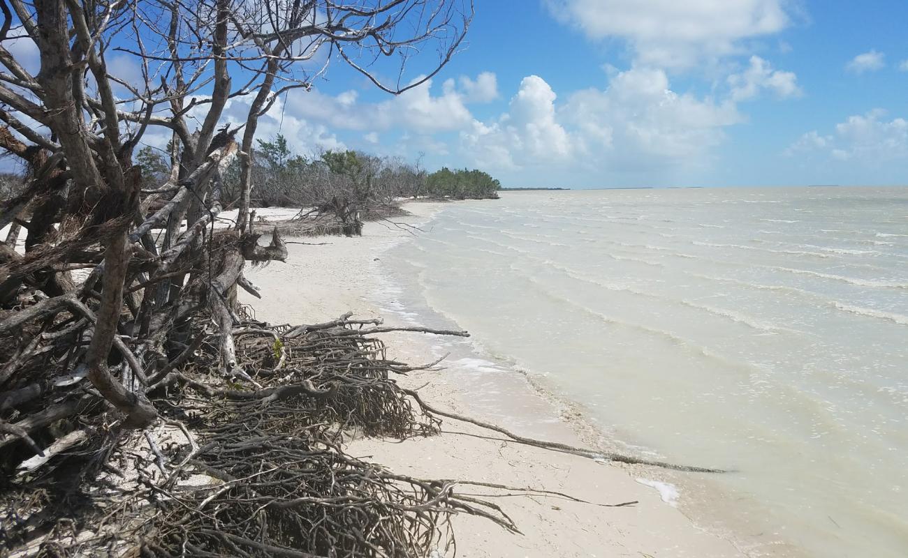 Photo de Clubhouse beach avec sable beige de surface