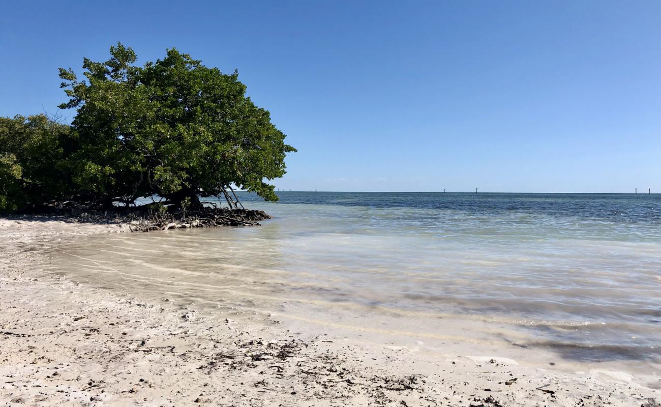 Photo de Anne's beach avec sable beige de surface
