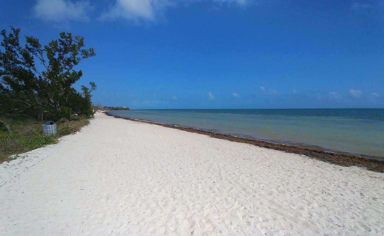 Photo de Cocoa Plum beach avec sable lumineux de surface