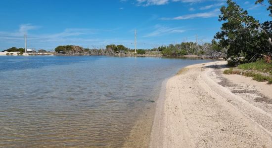 Camp Wesumkee beach