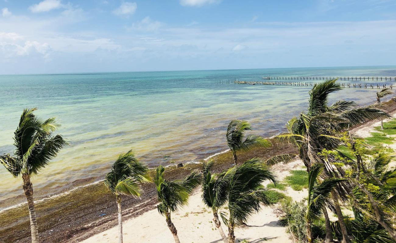 Photo de Sugarloaf beach avec sable blanc de surface
