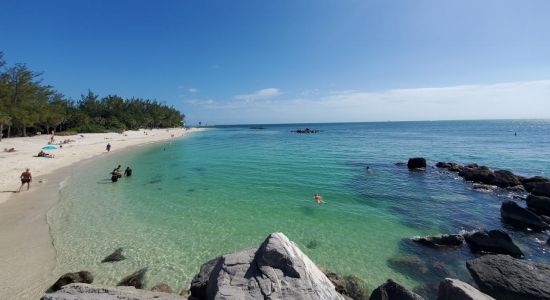 Zachary Taylor beach