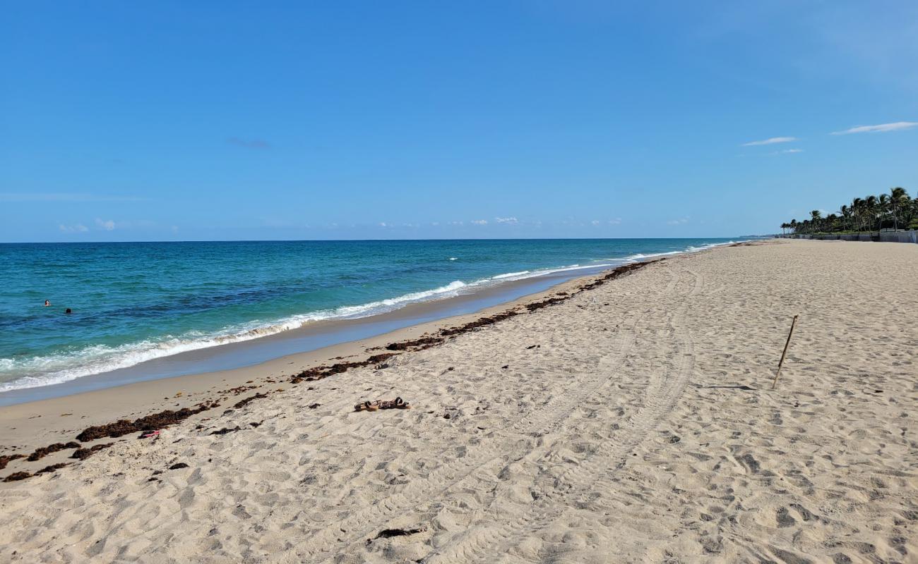 Photo de Palm Island beach avec sable lumineux de surface