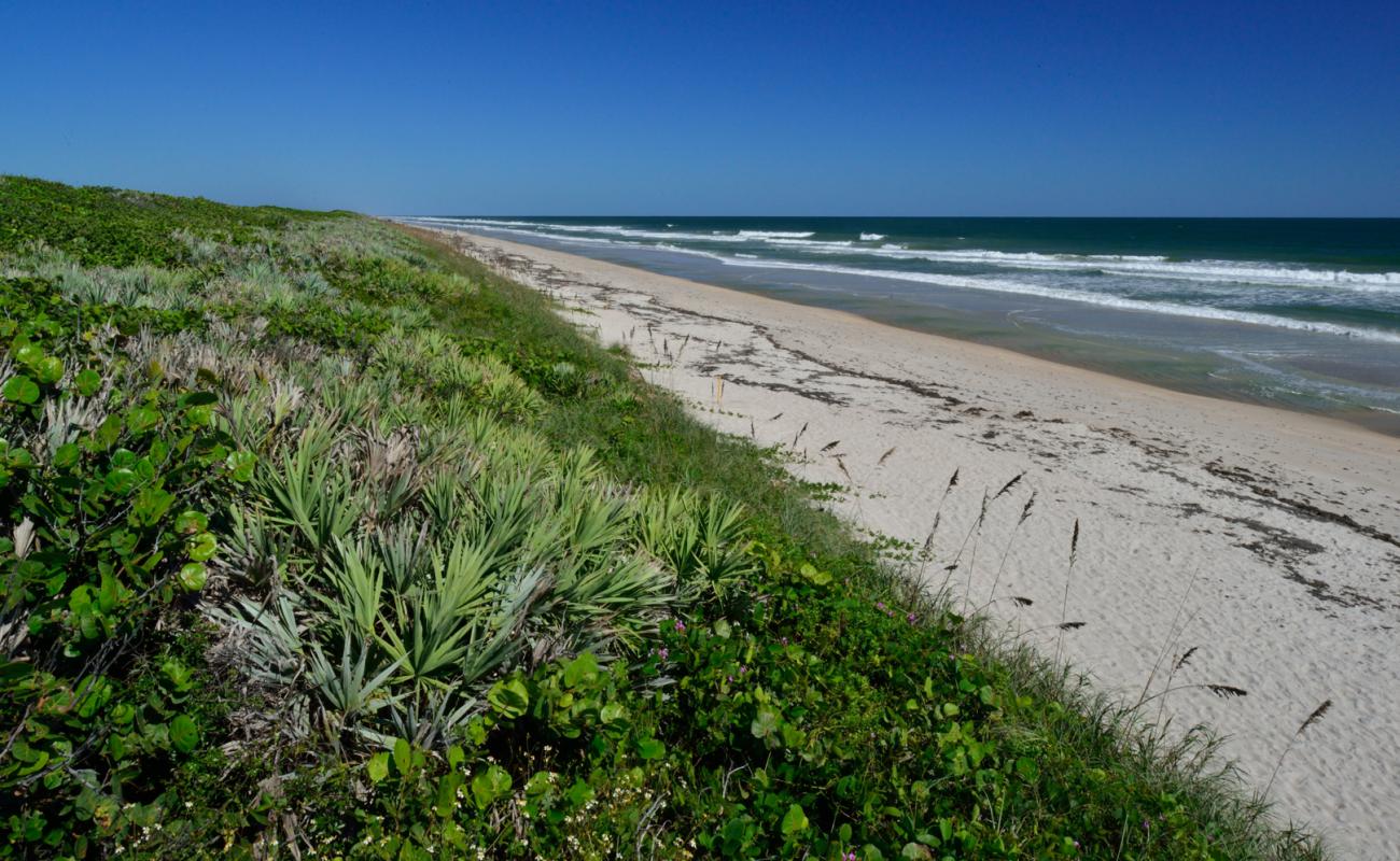 Photo de Playalinda beach avec sable beige de surface
