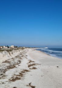 East Mayport