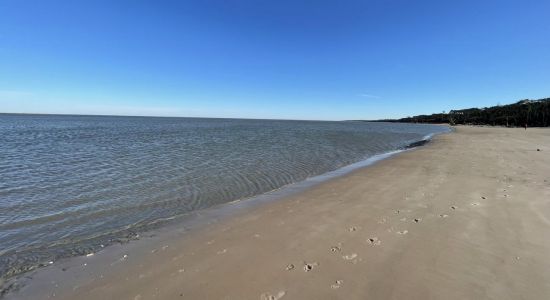 Boneyard beach