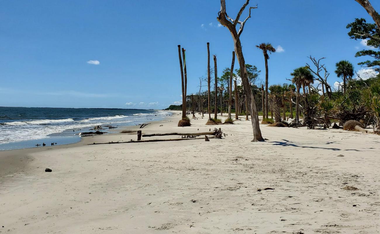 Photo de Daufuskie Island avec sable lumineux de surface