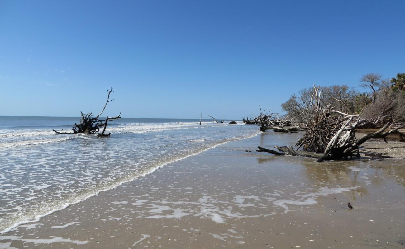 Photo de Driftwood beach avec sable gris de surface