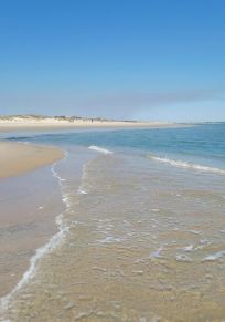 Bald Head Island