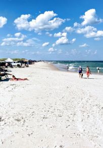 Sea Breeze
