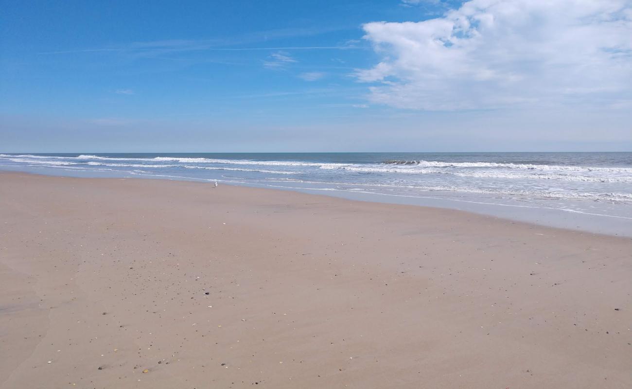 Photo de Sea Haven beach avec sable lumineux de surface