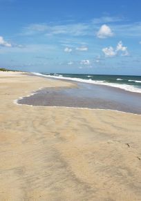 Ocracoke